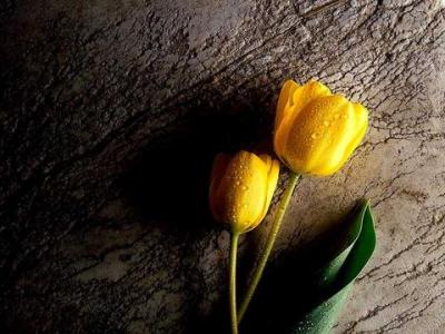 Gals join me 4 friendship