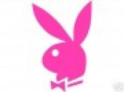 Play boy
