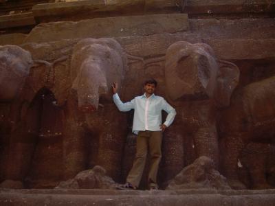 Yellora