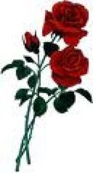 Caring flower