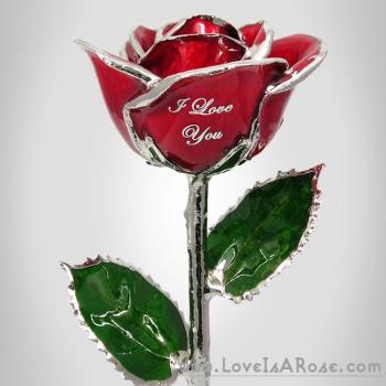 I love you