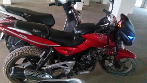 My red rider
