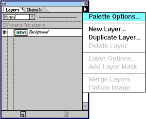 a screenshot of the new layer in Photoshop